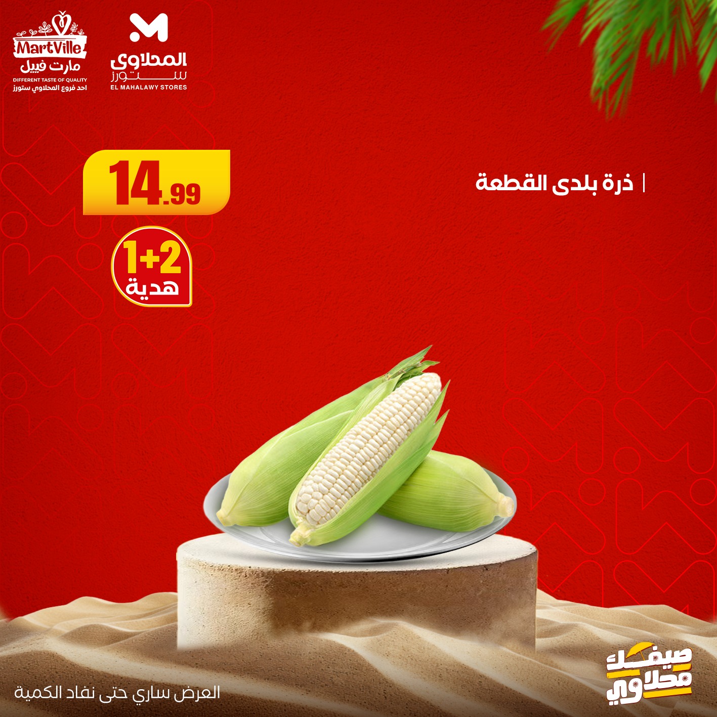 el-mahallawy offers from 13jul to 3jun 2025 عروض المحلاوي من 13 يوليو حتى 3 يونيو 2025 صفحة رقم 9